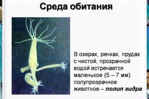 Ссылка кракена kraken clear com