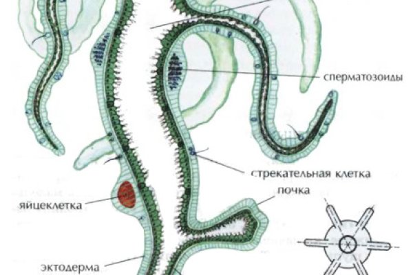 Кракен купить наркоту