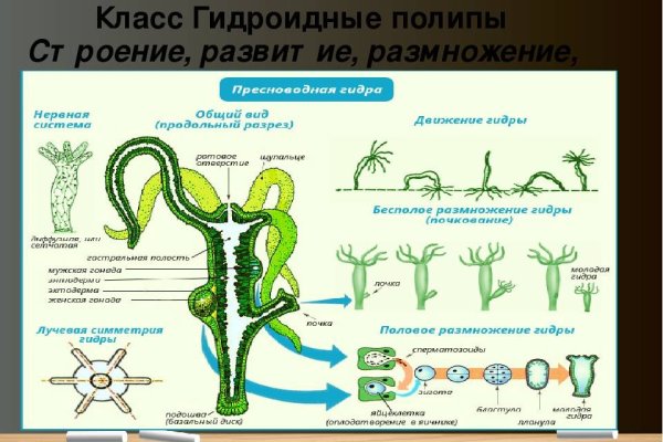 Кракен как зайти через тор браузер