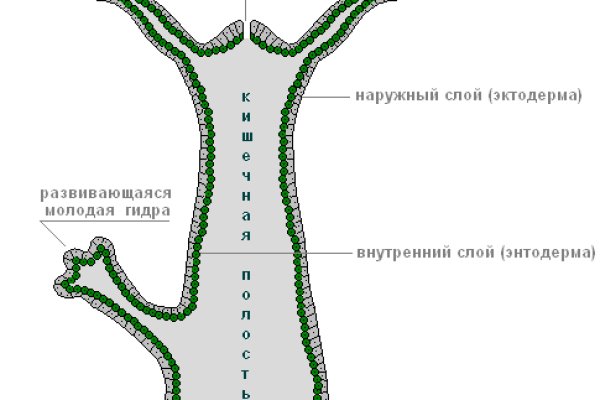 Кракен в обход